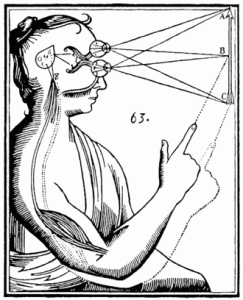Esquema de la glándula pineal segun René Descartes.