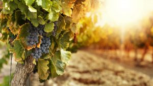 Resumen histórico del espiritismo