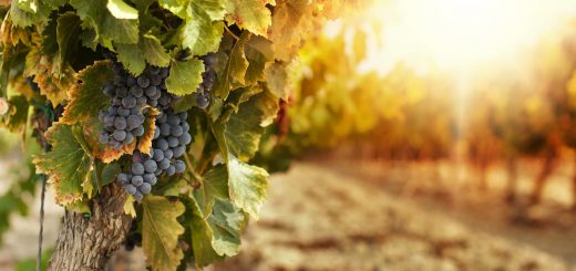 Resumen histórico del espiritismo