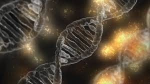 ADN código genético
