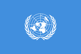 Organización de las Naciones Unidas