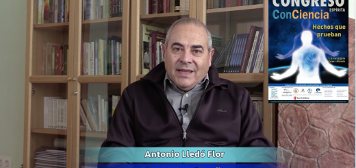 Antonio Lledó Flor