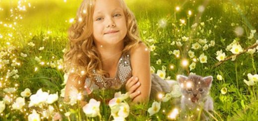 La verdadera felicidad