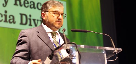 Acción y reacción José Manuel Meseguer